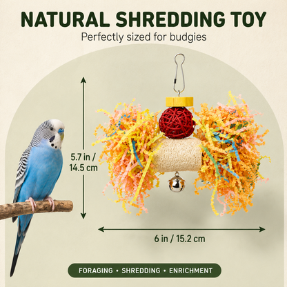 FUN PACK