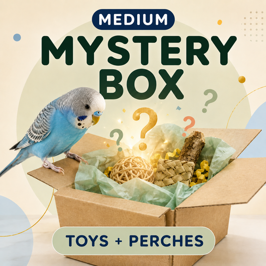 Medium Mystery Box