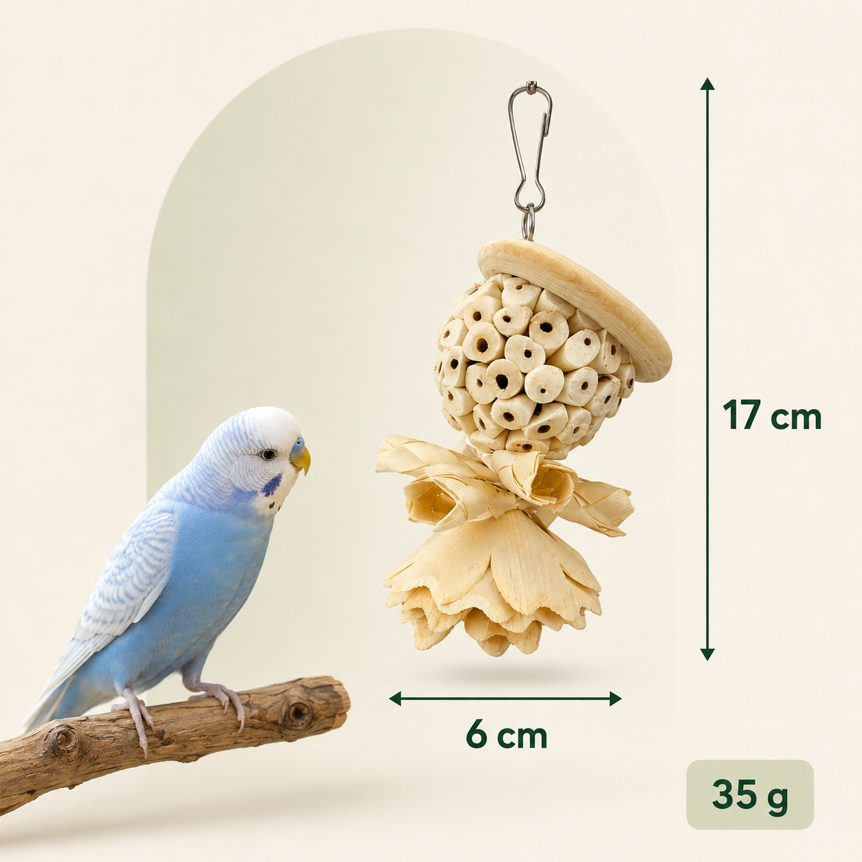 Shred & Chirp Toys