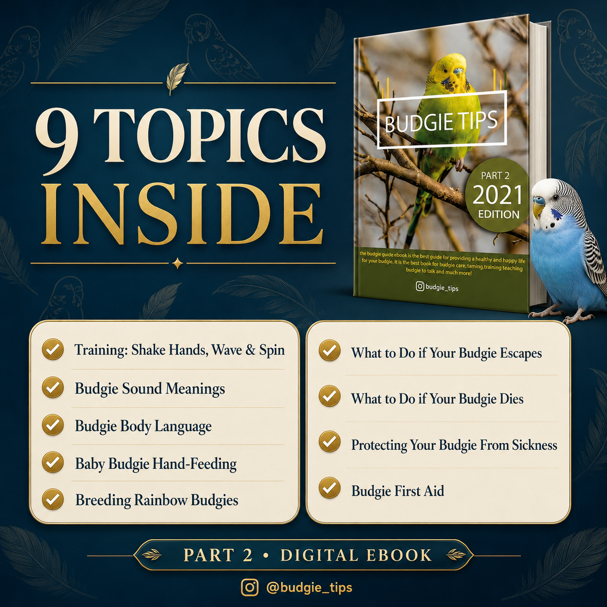 Budgie Educational Ebooks Bundle 2
