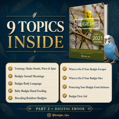 Budgie Educational Ebooks Bundle 2
