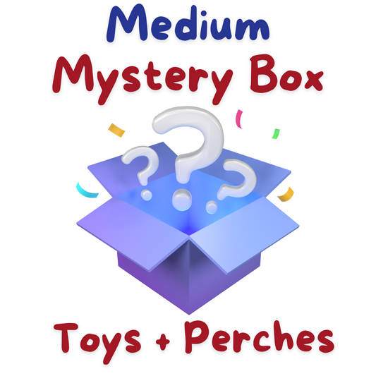 Medium Mystery Box