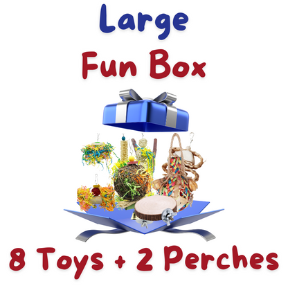 Large Fun box