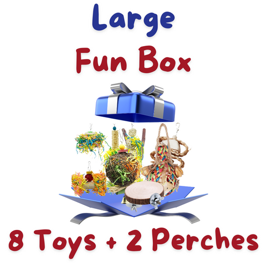 🎁 Large Fun box (100% off)