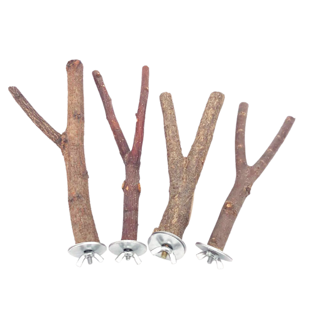 🎁 Bird Natural Perches (100% off)