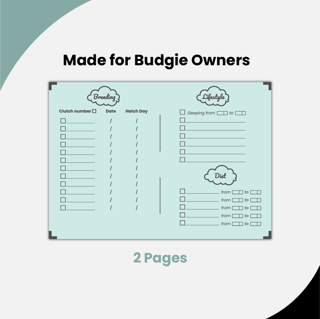 Budgie Educational Ebooks Bundle 2