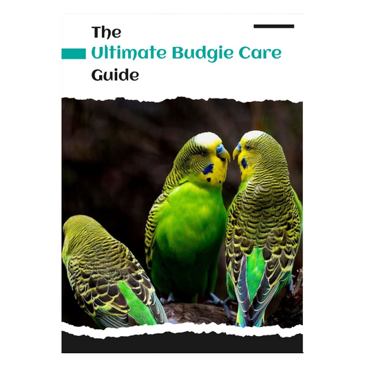 The Ultimate Budgie Care Guide Digital book 2022 (instant download)