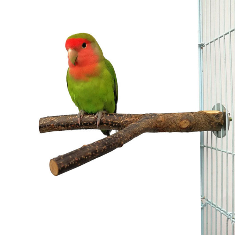 Bird Natural Perch – BudgieUniverse