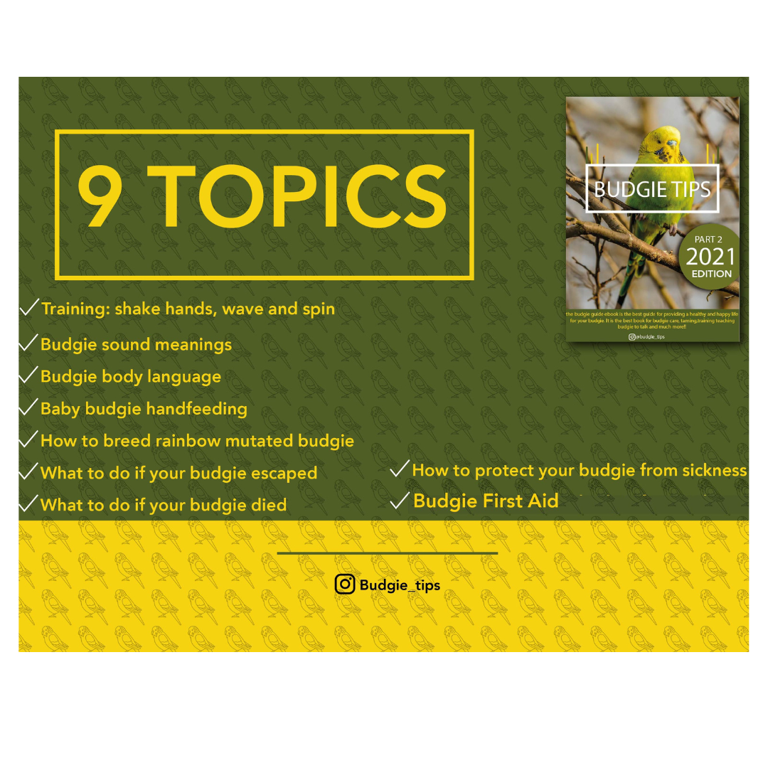 Budgie tips digital book Part 2, 2021 edition (instant download)