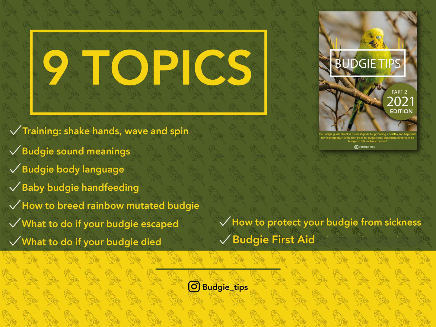 Budgie Educational ebook full bundle offer!