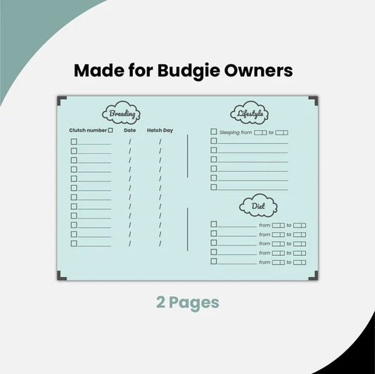 Budgie Digital Daily Planner (instant download)